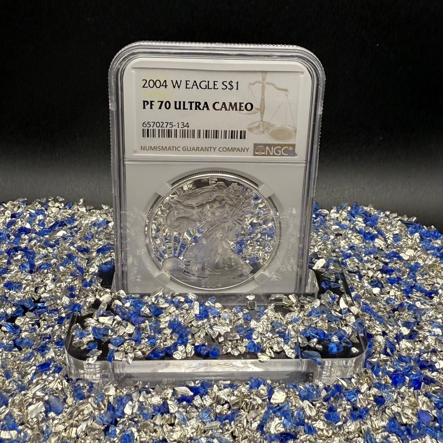 Proof 2004 (W) $1 American Silver Eagle NGC PF70UC Modern Brown Label (1 of 12,325)