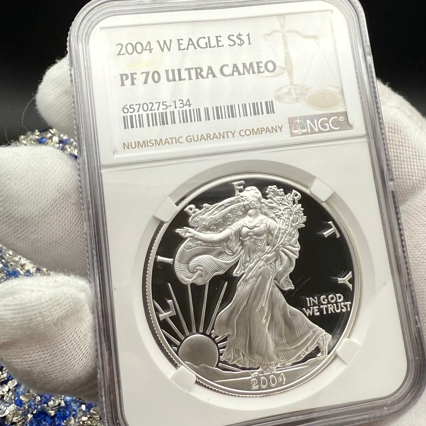 Proof 2004 (W) $1 American Silver Eagle NGC PF70UC Modern Brown Label (1 of 12,325)