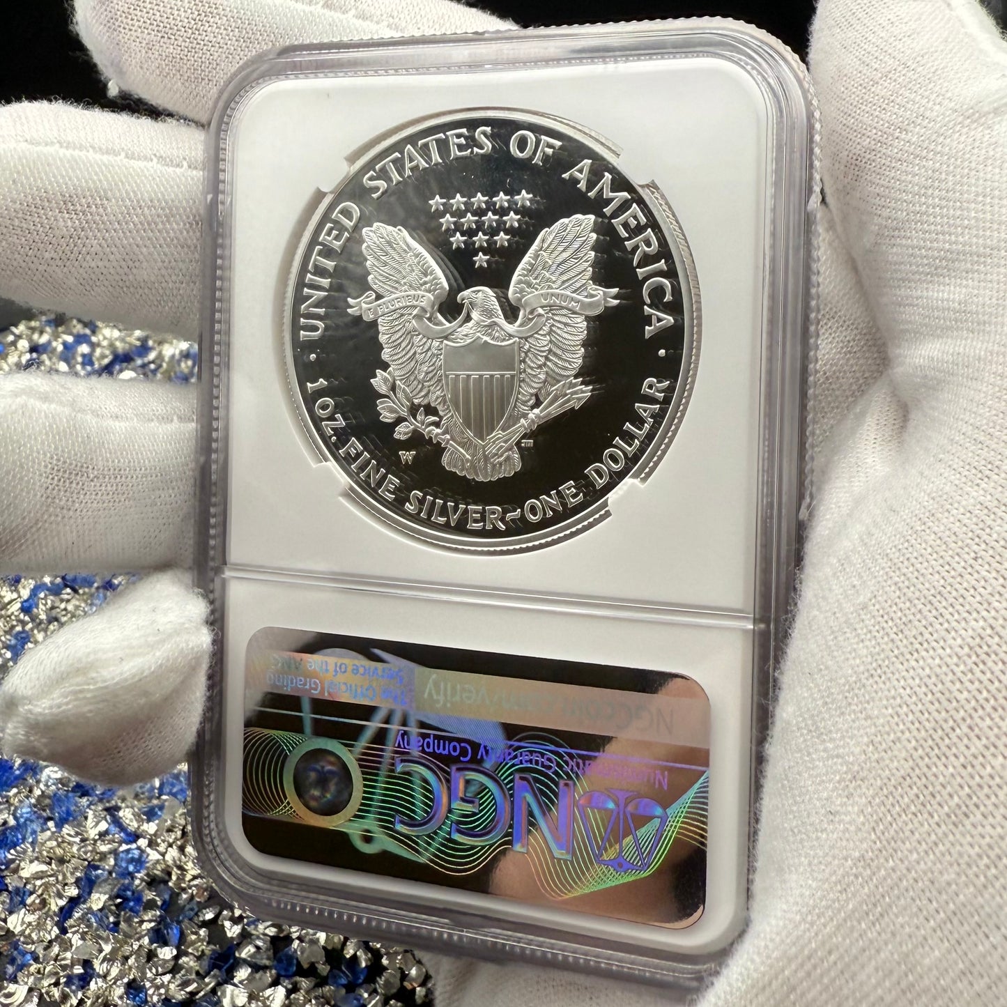 Proof 2004 (W) $1 American Silver Eagle NGC PF70UC Modern Brown Label (1 of 12,325)