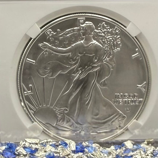 Burnished 2022 (W) $1 American Silver Eagle NCG MS70 Modern Brown Label Mint Condition (1 of 3,027)