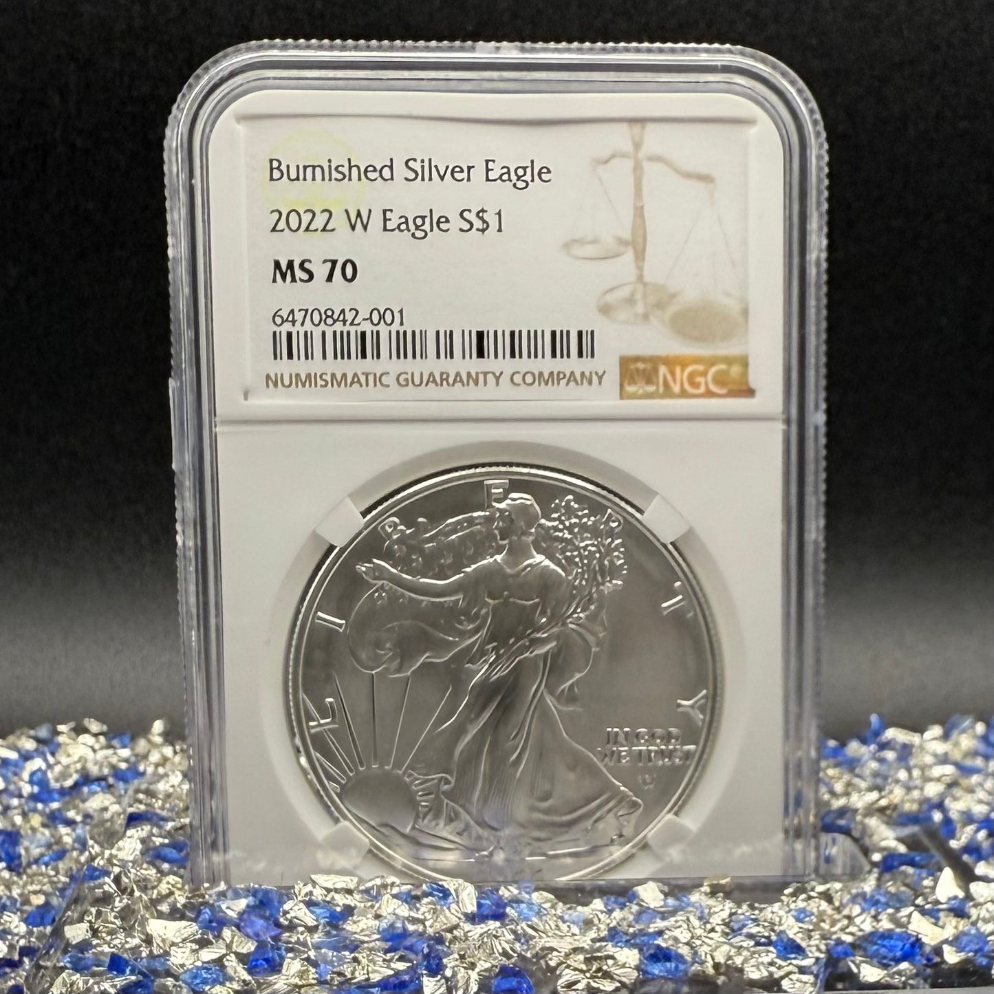 Burnished 2022 (W) $1 American Silver Eagle NCG MS70 Modern Brown Label Mint Condition (1 of 3,027)