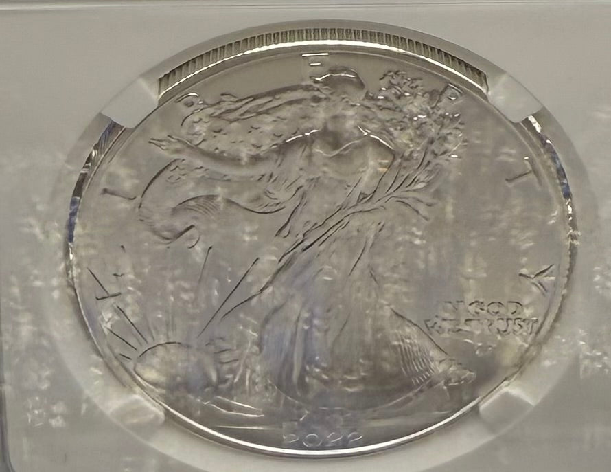 Burnished 2022 (W) $1 American Silver Eagle NCG MS70 Modern Brown Label Mint Condition (1 of 3,027)