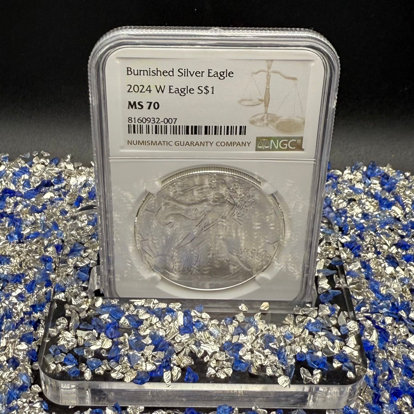 Burnished 2024 (W) $1 American Silver Eagle NCG MS70 Modern Brown Label Mint Condition (1 of 1,624)