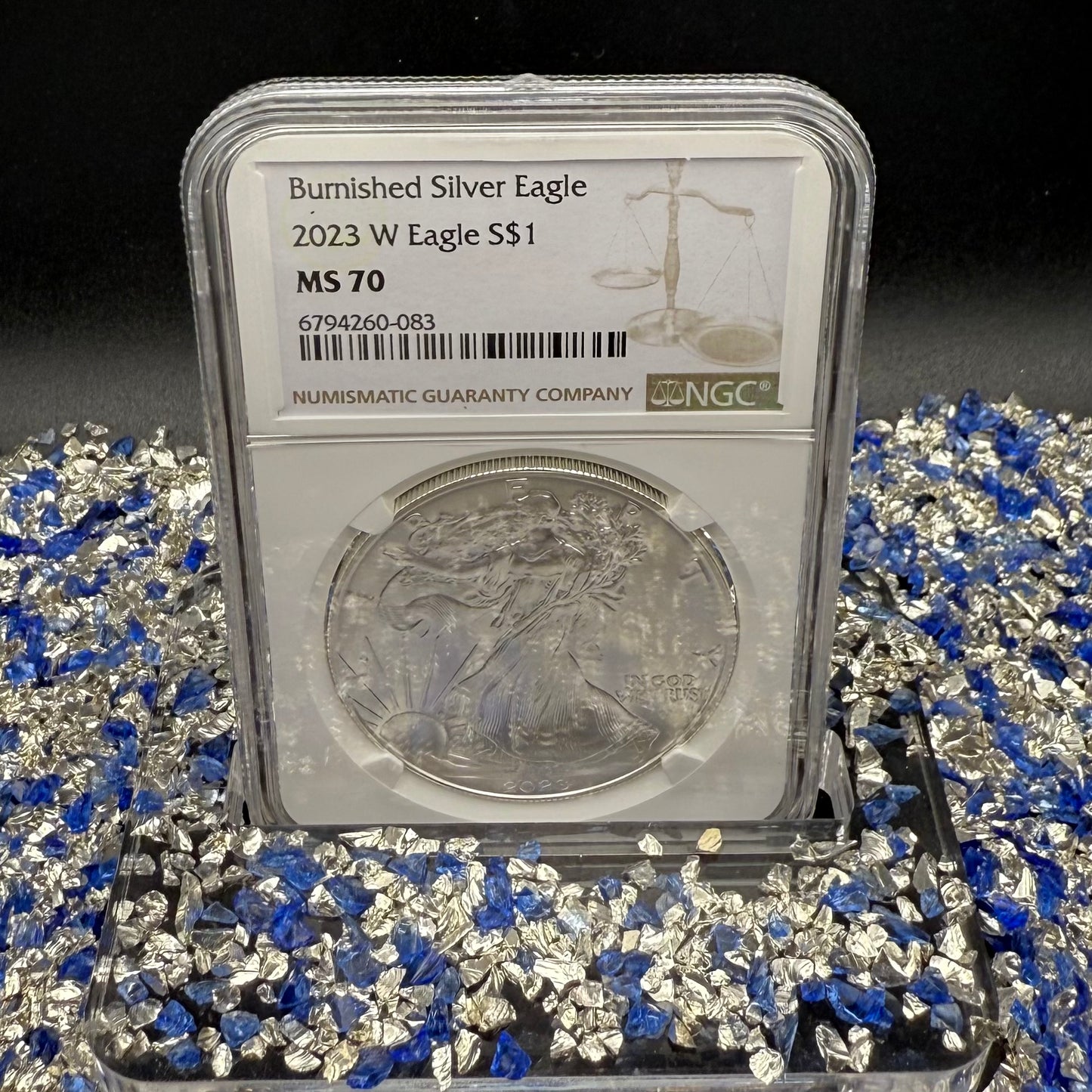 Burnished 2023 (W) $1 American Silver Eagle NCG MS70 Modern Brown Label Mint Condition (1 of 1,528)