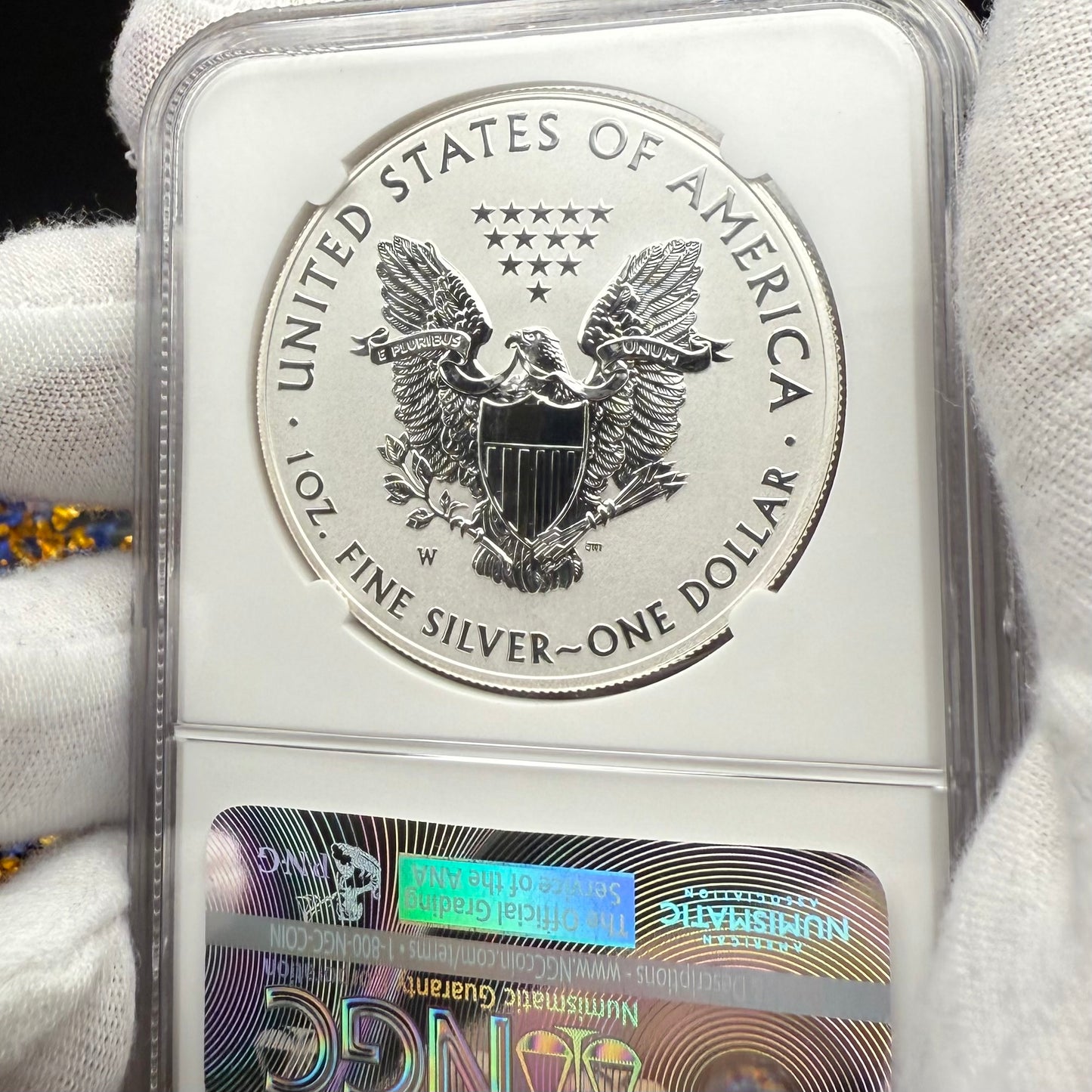 Reverse Proof & Enhanced Finish (2 Coin Set) 2013 (W) $1 American Silver Eagle NGC PF70 White Core Holder Gold Star Label Mint