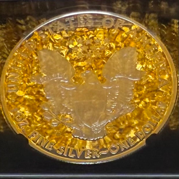 Proof 2010 (W) $1 American Silver Eagle NGC PF70 Black Holder Classic Blue Label 25th Anniversary (1 of 9,023)