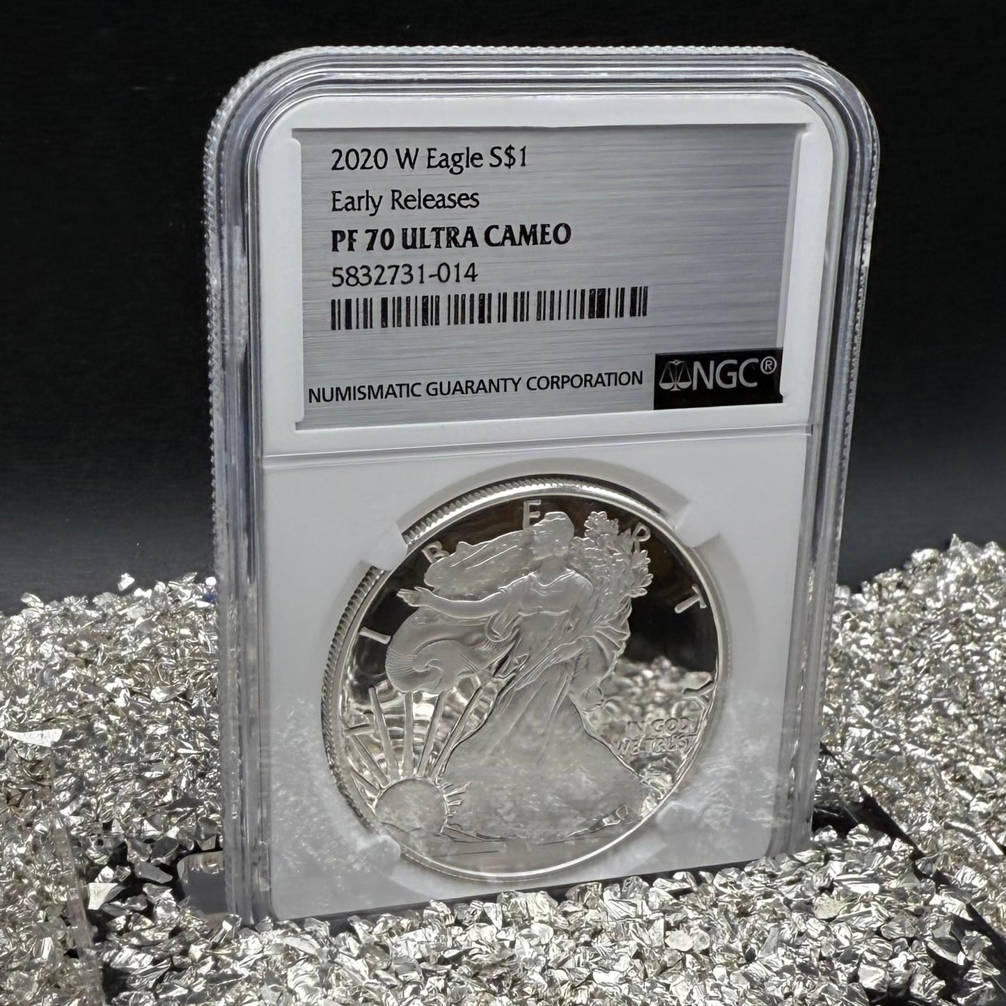 Proof 2020 (W) $1 American Silver Eagle NGC PF70UC Early Releases Stainless Steel Label Mint Condition (1 of 4,472)