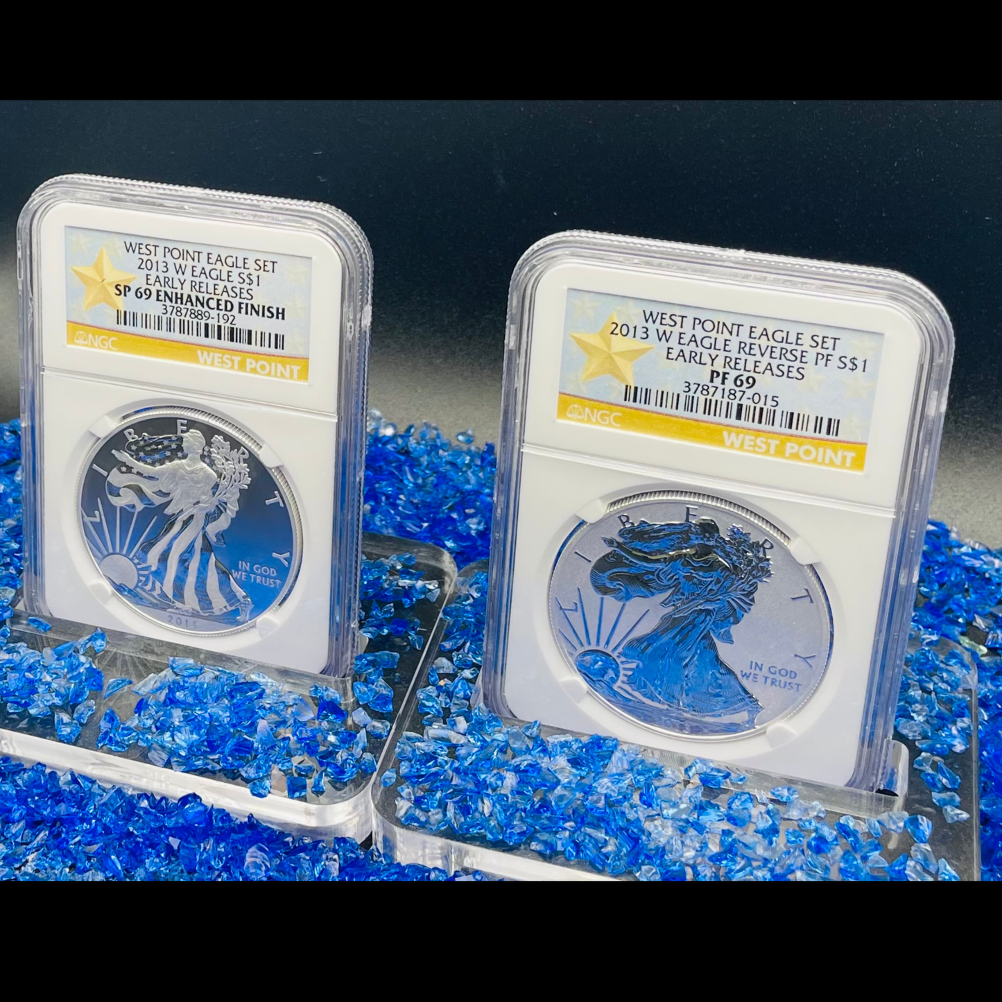 Reverse Proof & Enhanced Finish (2 Coin Set) 2013 (W) $1 American Silver Eagle NGC PF69 White Core Holder West Point Gold Star Label