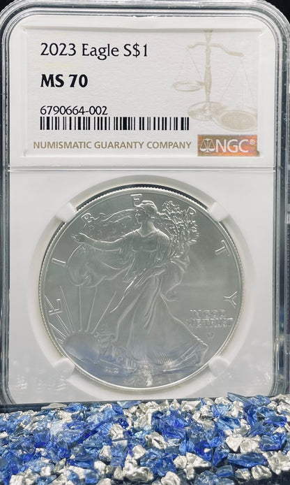 2023 $1 American Silver Eagle NGC MS70 Business Strike Brown Label