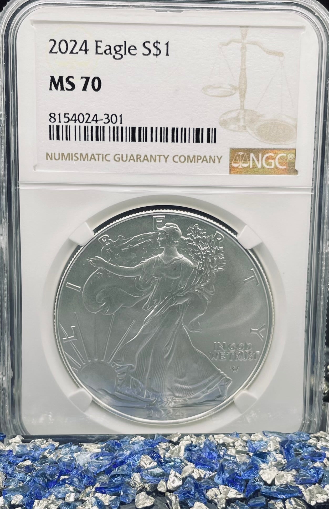 2024 $1 American Silver Eagle NGC MS70 Business Strike Brown Label