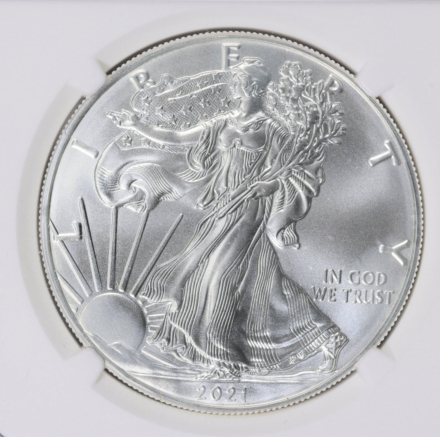 2021 $1 American Silver Eagle NGC MS70 Type 1 First Day of Issue Eagle Label Mint Condition (1 of 38,508)