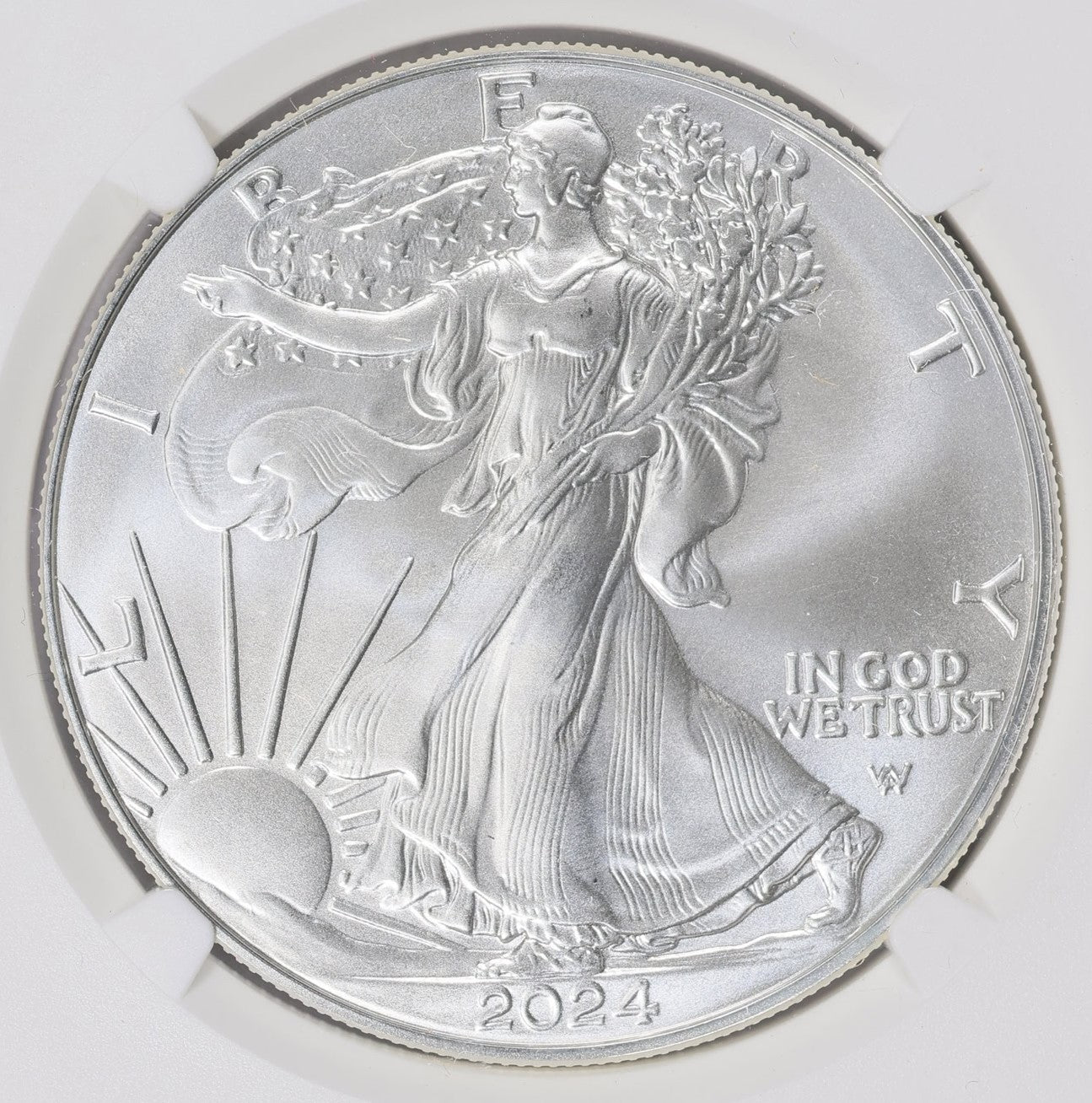 2024 $1 American Silver Eagle NGC MS70 Business Strike Brown Label