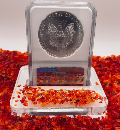 2021 $1 American Silver Eagle NGC MS70 Type 1 First Day of Issue Eagle Label Mint Condition (1 of 38,508)