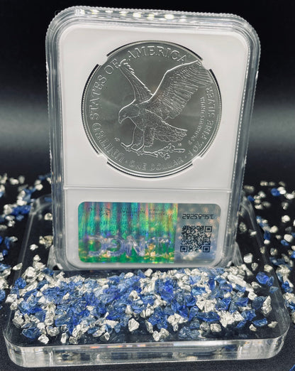 2024 $1 American Silver Eagle NGC MS70 Business Strike Brown Label