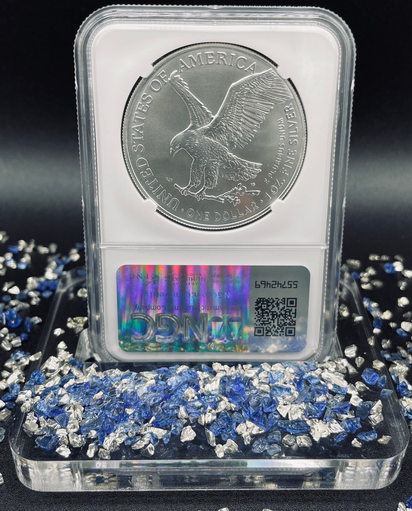 2024 $1 American Silver Eagle NGC MS70 Business Strike Brown Label