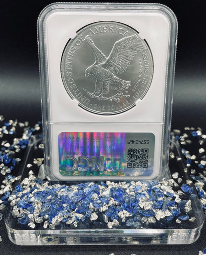 2024 $1 American Silver Eagle NGC MS70 Business Strike Brown Label