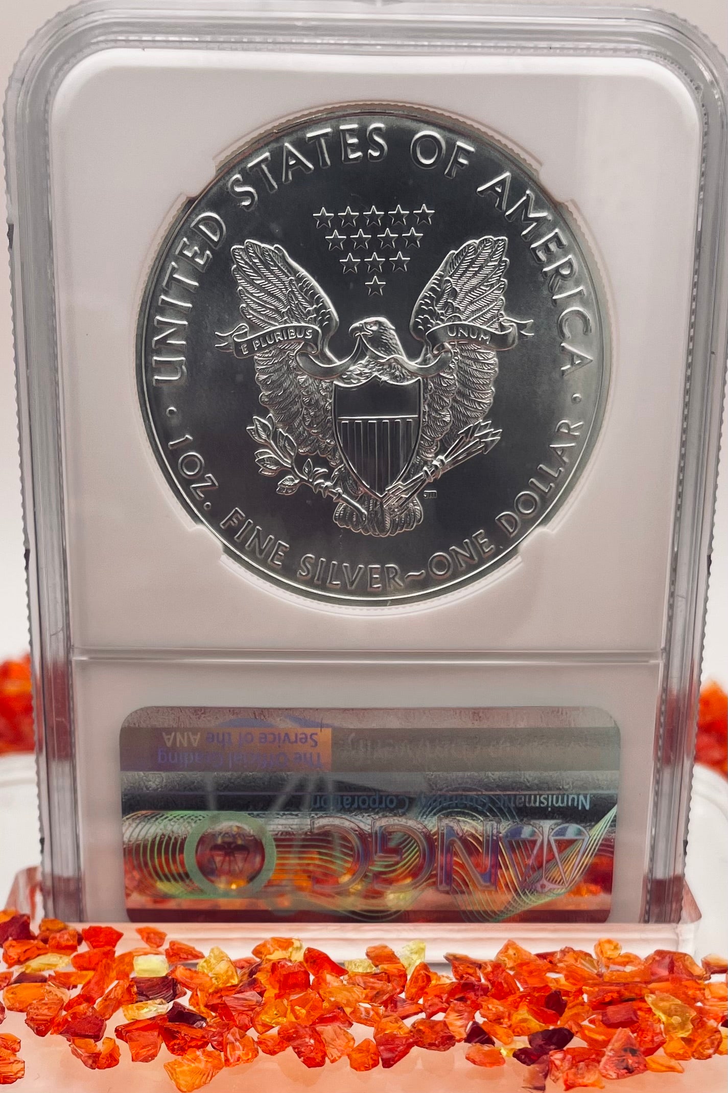 2021 $1 American Silver Eagle NGC MS70 Type 1 First Day of Issue Eagle Label Mint Condition (1 of 38,508)