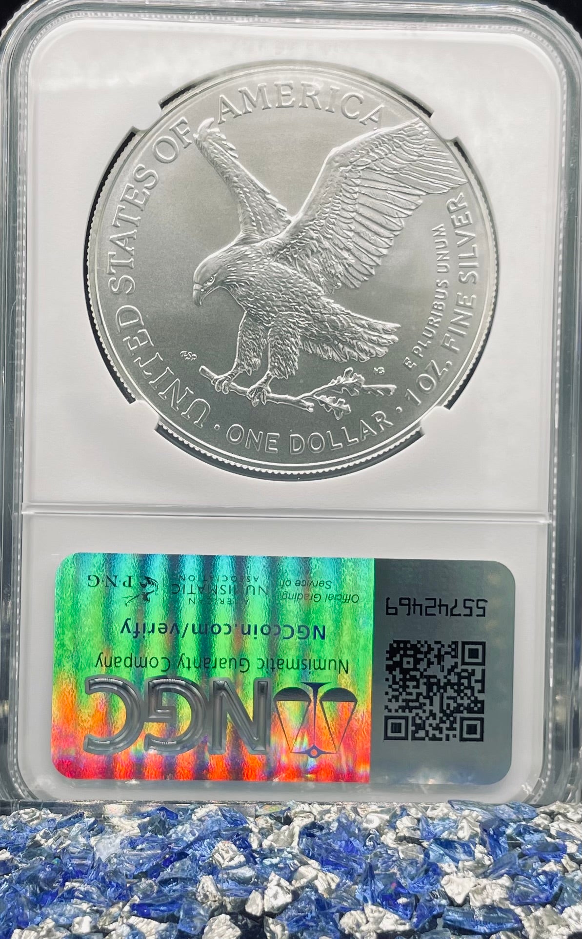 2024 $1 American Silver Eagle NGC MS70 Business Strike Brown Label