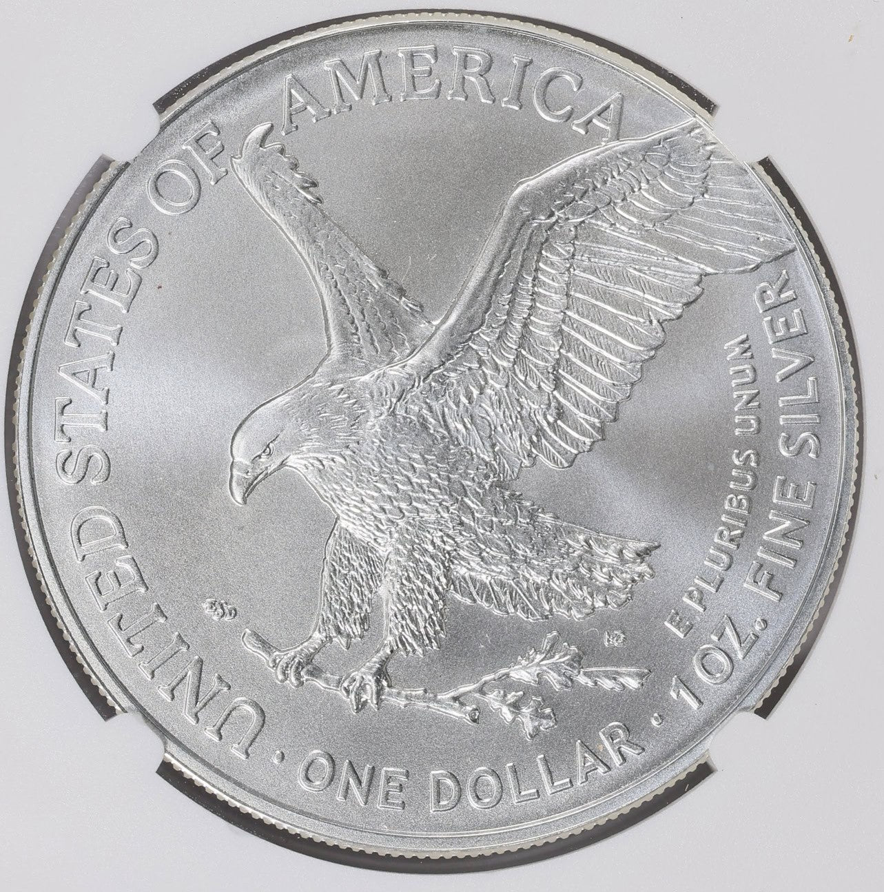 2024 $1 American Silver Eagle NGC MS70 Business Strike Brown Label