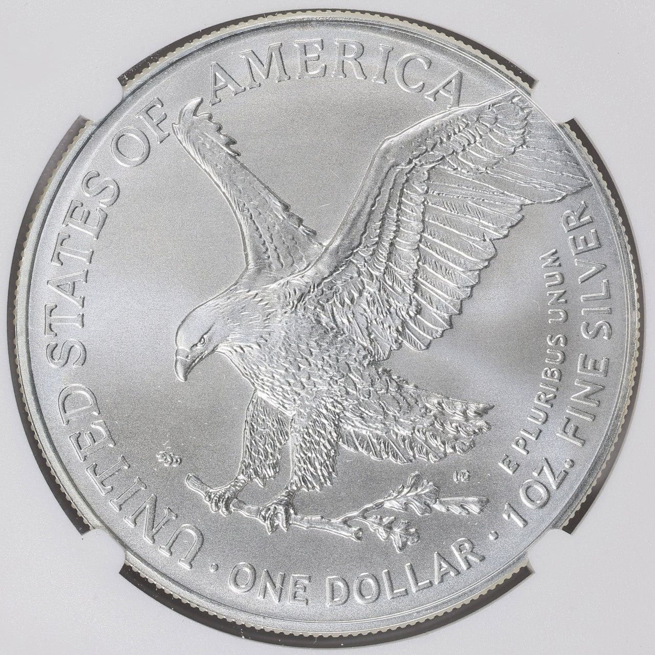 2024 $1 American Silver Eagle NGC MS70 Business Strike Brown Label