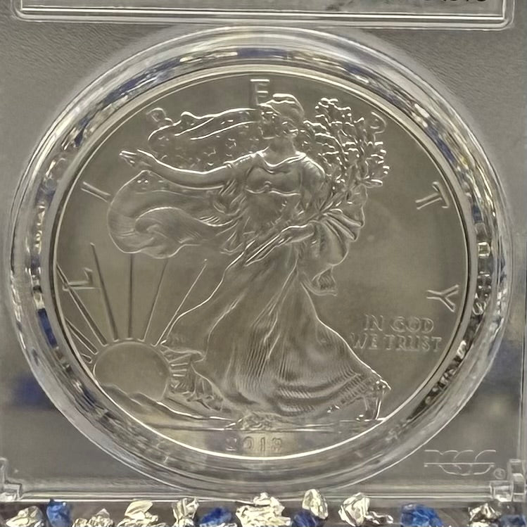 Burnished 2018 (W) $1 American Silver Eagle PCGS SP70 Washington D.C. First Day of Issue Silver Foil Label (1 of 237)