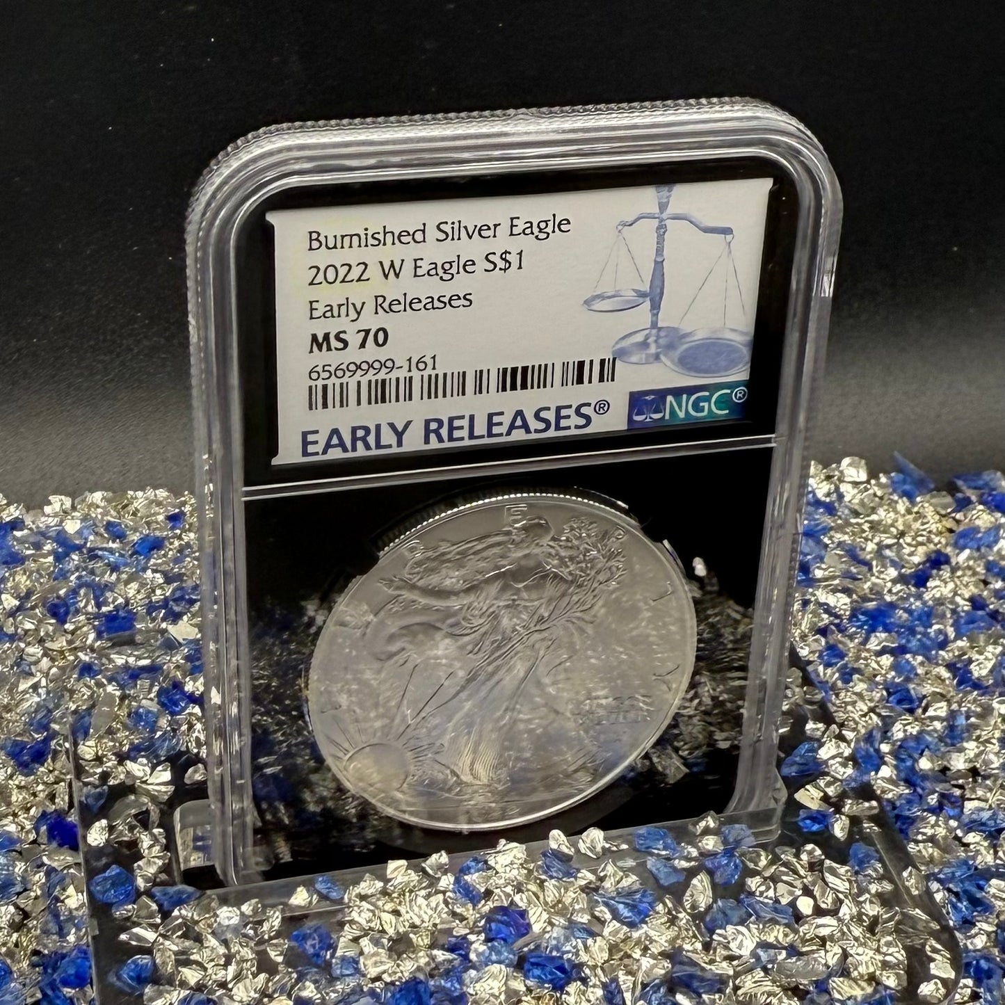 Burnished 2023 (W) $1 American Silver Eagle NGC MS70 Black Core - 1 of 2981