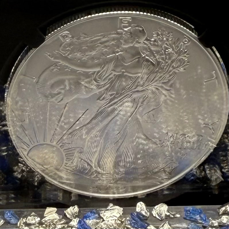 Burnished 2023 (W) $1 American Silver Eagle NGC MS70 Black Core - 1 of 2981