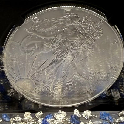 Burnished 2023 (W) $1 American Silver Eagle NGC MS70 Black Core - 1 of 2981