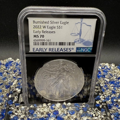 Burnished 2023 (W) $1 American Silver Eagle NGC MS70 Black Core - 1 of 2981