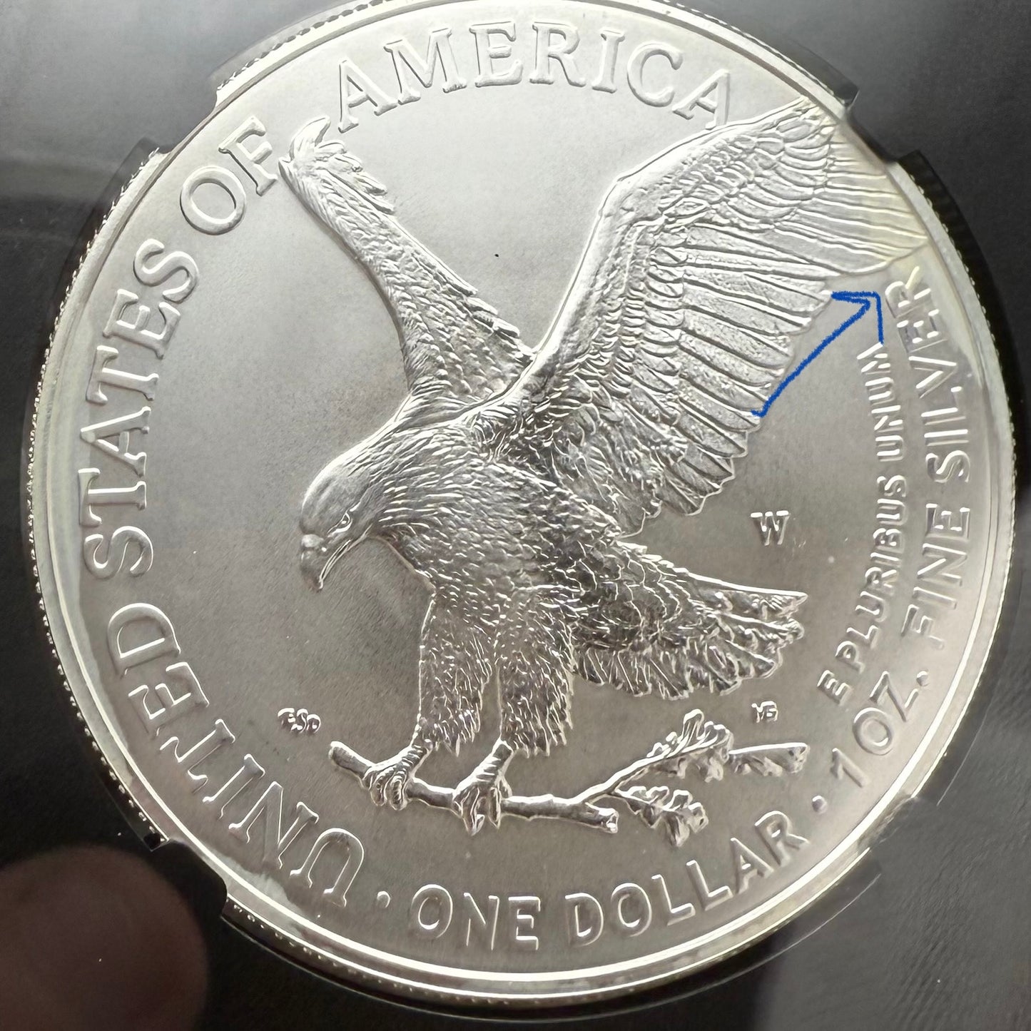 Burnished 2023 (W) $1 American Silver Eagle NGC MS70 Black Core - 1 of 2981