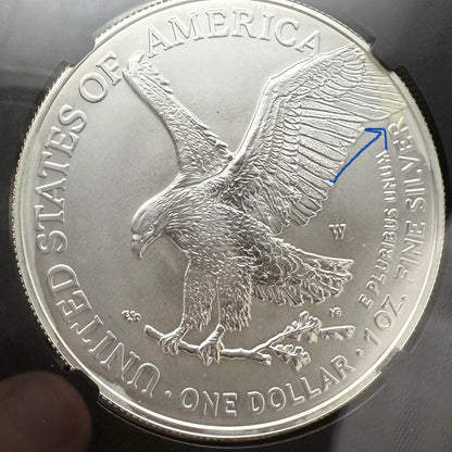 Burnished 2023 (W) $1 American Silver Eagle NGC MS70 Black Core - 1 of 2981