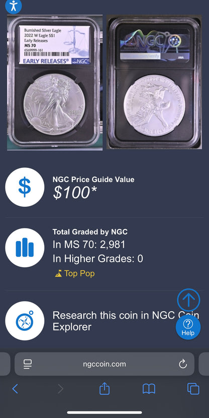 Burnished 2023 (W) $1 American Silver Eagle NGC MS70 Black Core - 1 of 2981