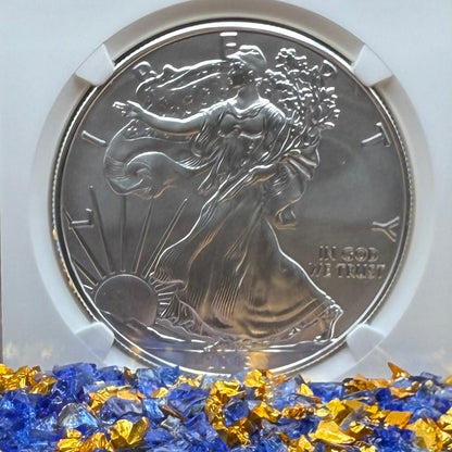 2019 $1 American Silver Eagle NGC MS70 FDOI Mint Condition