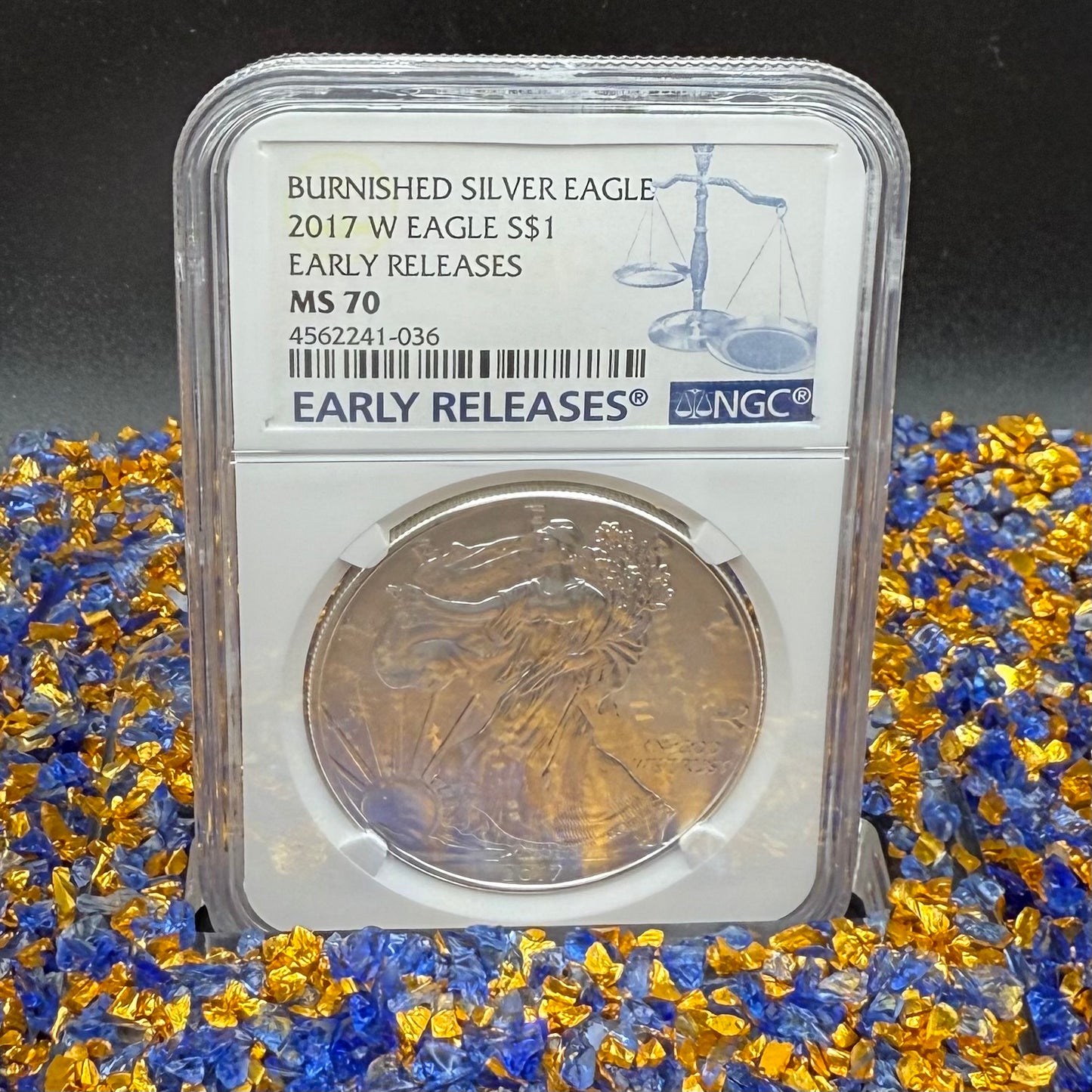 Burnished 2017 (W) $1 American Silver Eagle NGC MS70 Early Releases Classic Blue Label Mint Condition