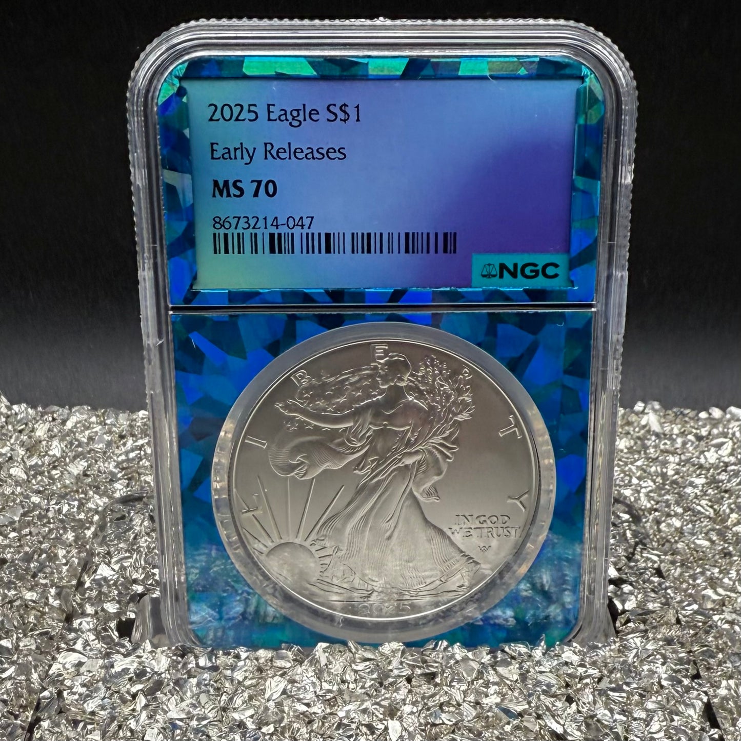 2025 $1 American Silver Eagle NGC MS70 Early Releases Blue Prism Holder Mint Condition