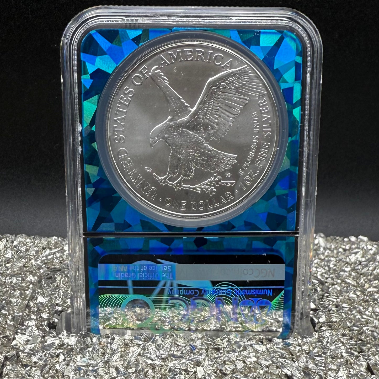 2025 $1 American Silver Eagle NGC MS70 Early Releases Blue Prism Holder Mint Condition