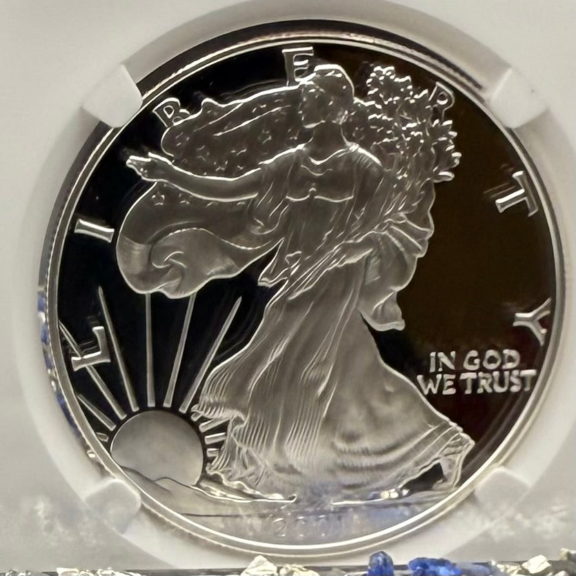 Proof 2001 (W) $1 American Silver Eagle NGC PF70UC Modern Brown Label (1 of 6,885)