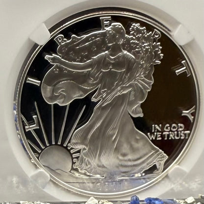 Proof 2001 (W) $1 American Silver Eagle NGC PF70UC Modern Brown Label (1 of 6,885)