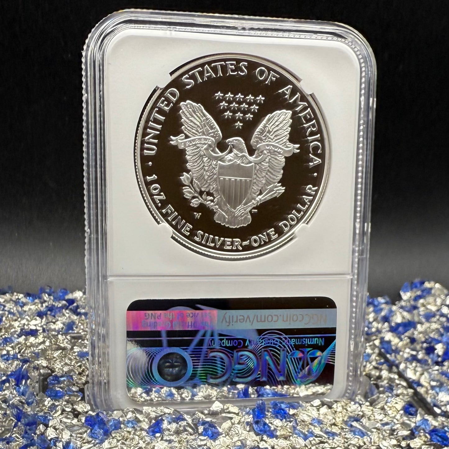 Proof 2001 (W) $1 American Silver Eagle NGC PF70UC Modern Brown Label (1 of 6,885)