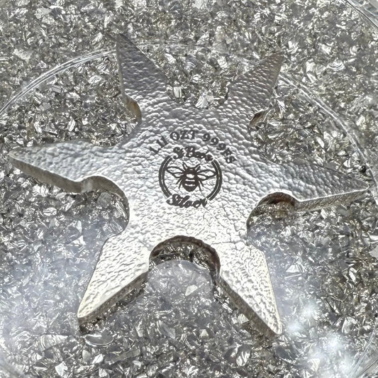 Pokémon 'Squirtle Star' 1.11 oz .999 Fine Silver Star Hand Crafted by St Bee's in England, Shiny Finish, Includes Poké Ball & COA, Mint Condition, Limited Edition