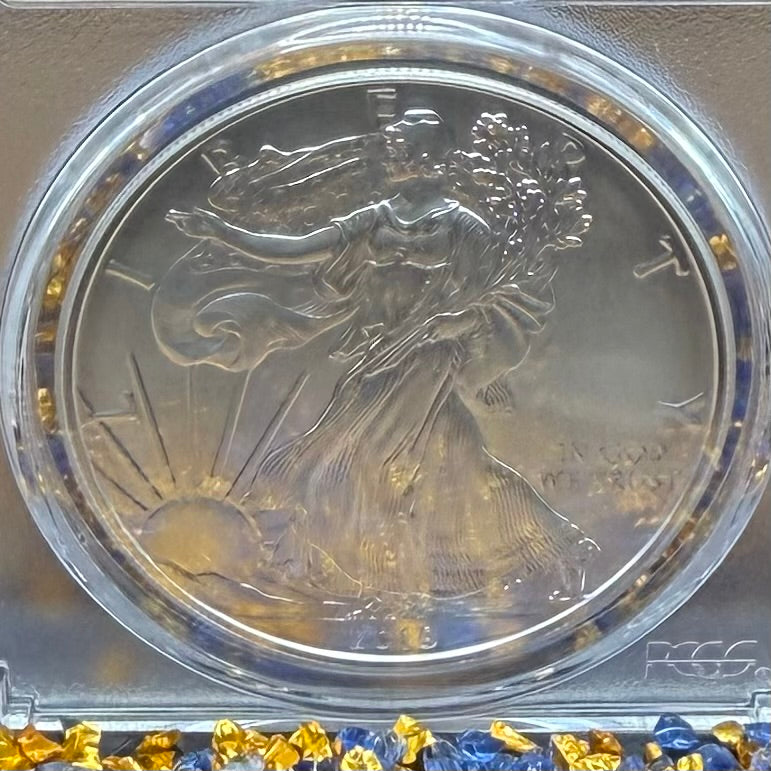 Burnished 2019 (W) $1 American Silver Eagle PCGS SP70 Denver First Strike Silver Foil Label - Rare 1 of 79 Mint!