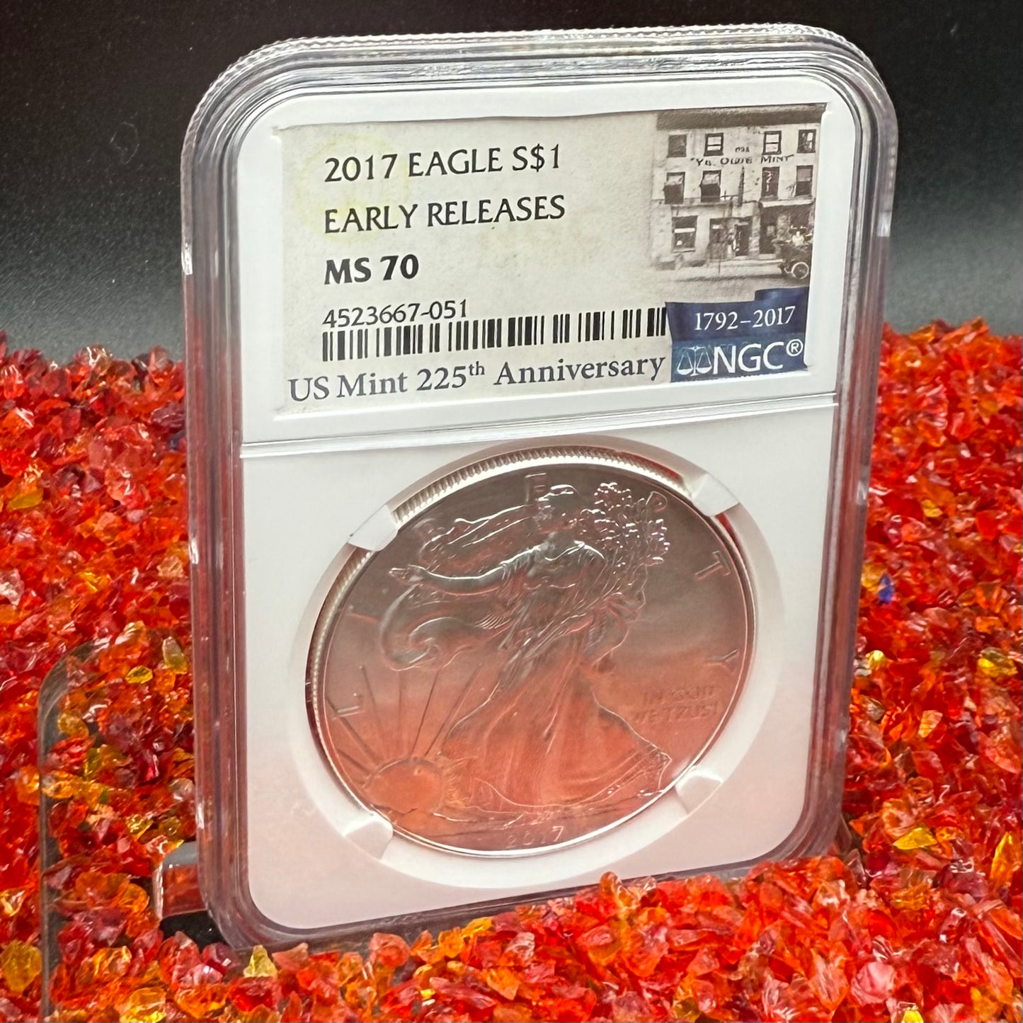 2017 $1 American Silver Eagle NGC MS70 Early Releases 225th Anniversary Mint Condition