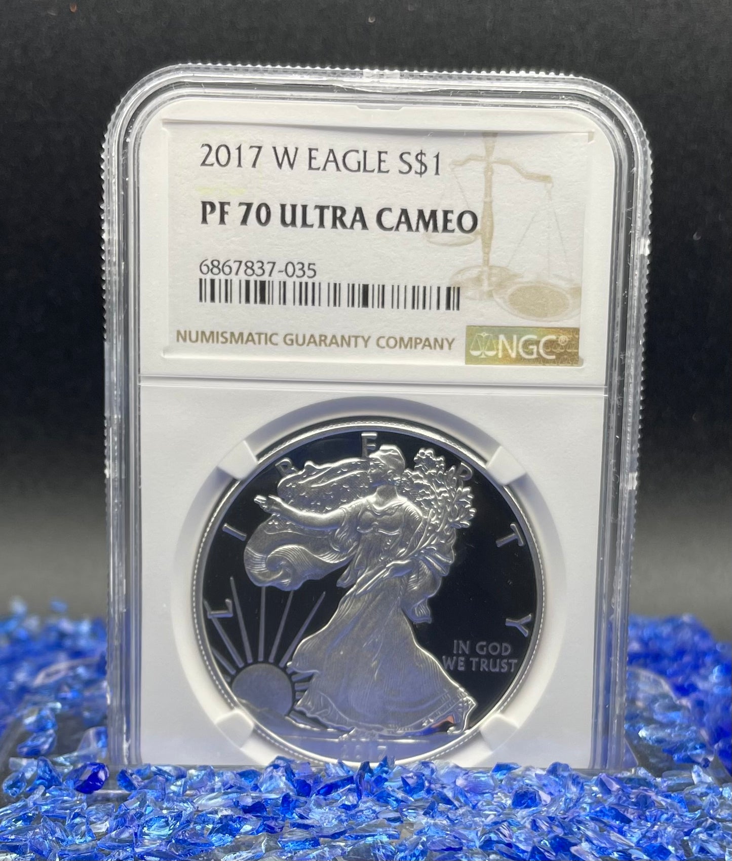 Proof 2017 (W) $1 American Silver Eagle NGC PF70 Modern Brown Label Mint Condition (1 of 4,190)