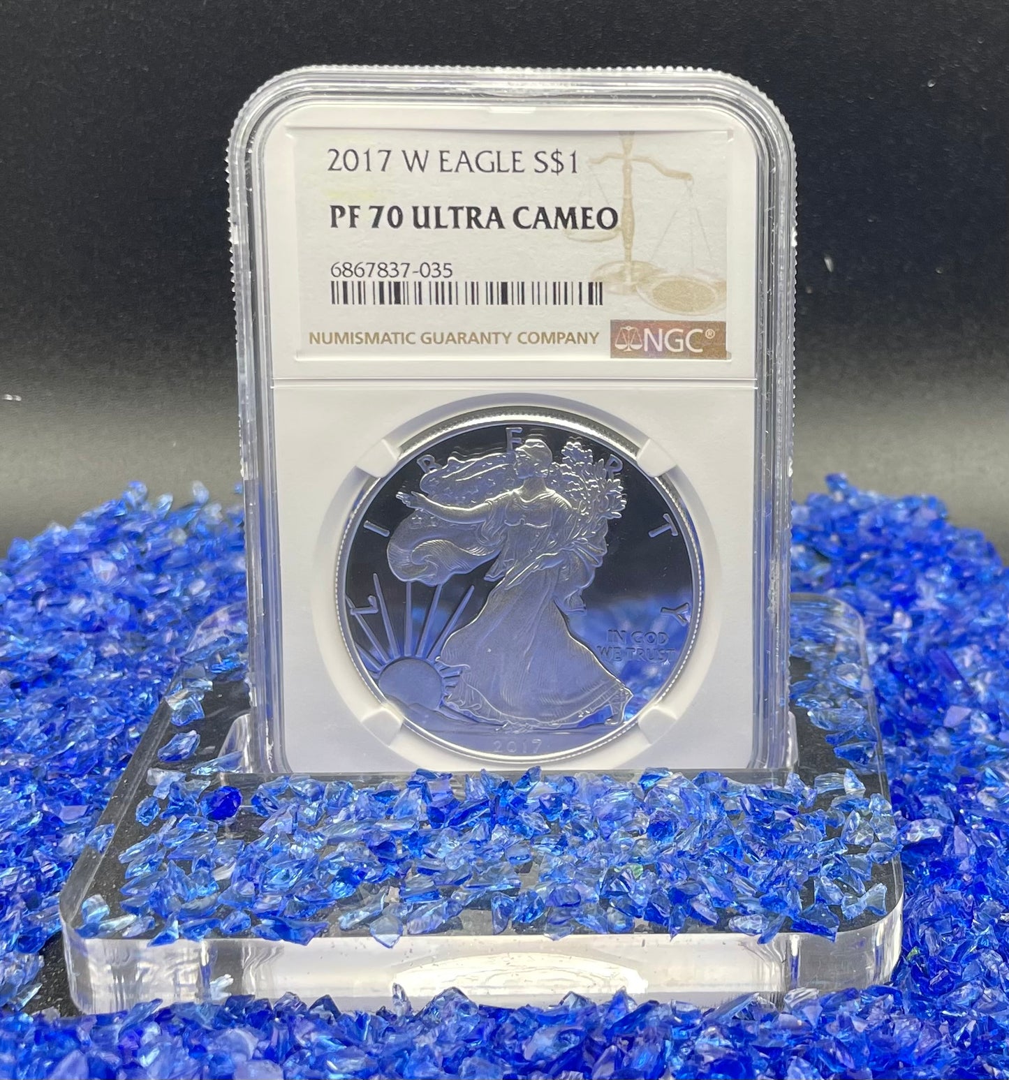 Proof 2017 (W) $1 American Silver Eagle NGC PF70 Modern Brown Label Mint Condition (1 of 4,190)