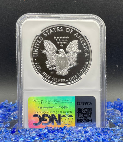 Proof 2017 (W) $1 American Silver Eagle NGC PF70 Modern Brown Label Mint Condition (1 of 4,190)