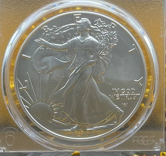 2022 $1 American Silver Eagle PCGS MS70 First Strike U.S. Mint AIP Master Designer Thomas Cleveland Signed Label (1 of 500)