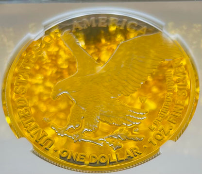 Proof 2022 (W) $1 American Silver Eagle NGC PF70 Early Releases Modern Blue Label Mint Condition (1 of 4,817)