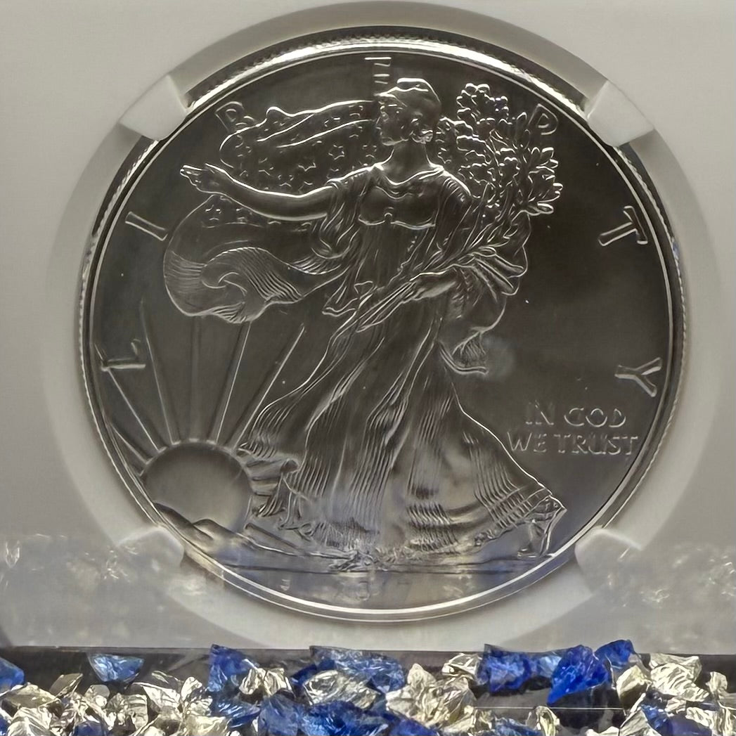 Burnished 2017 (W) $1 American Silver Eagle NGC MS70 FDOI Classic Blue Label Mint!