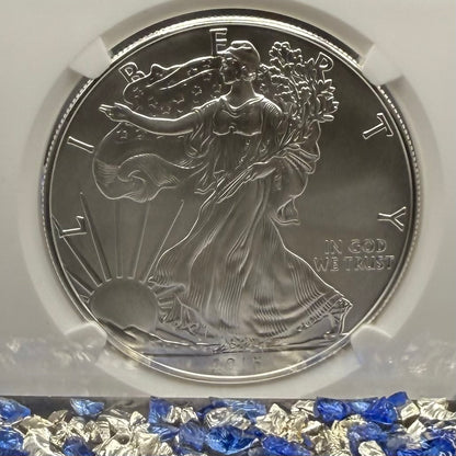 Burnished 2015 (W) $1 American Silver Eagle NGC MS70 FDOI Classic Blue Label Mint!
