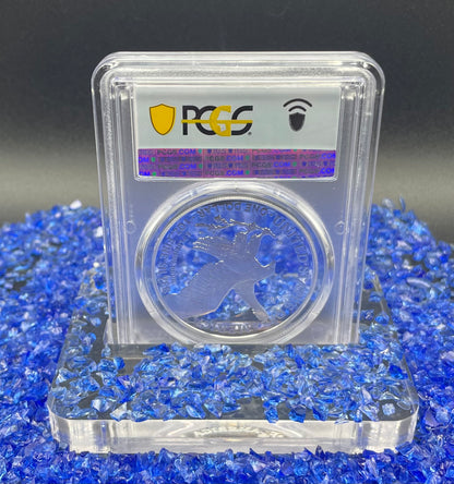 Proof 2023 (W) $1 American Silver Eagle PCGS PR70DCAM FDOI American Flag Label Congratulations Set. Mint Condition (1 of 695)